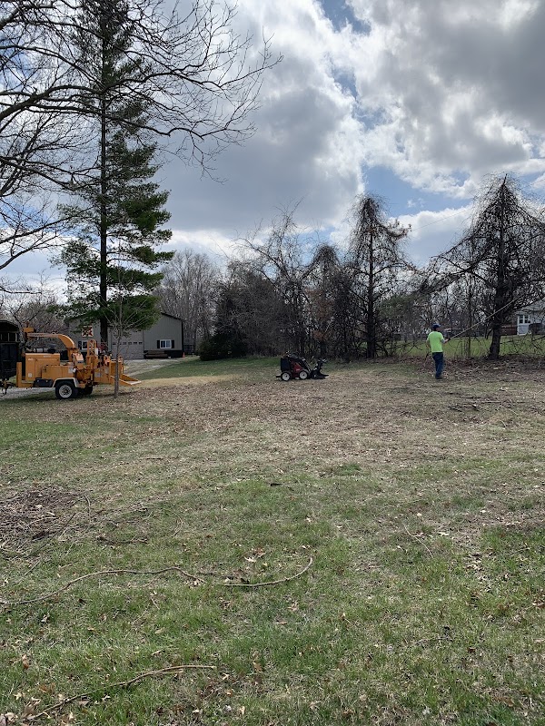 Alex Tree Service