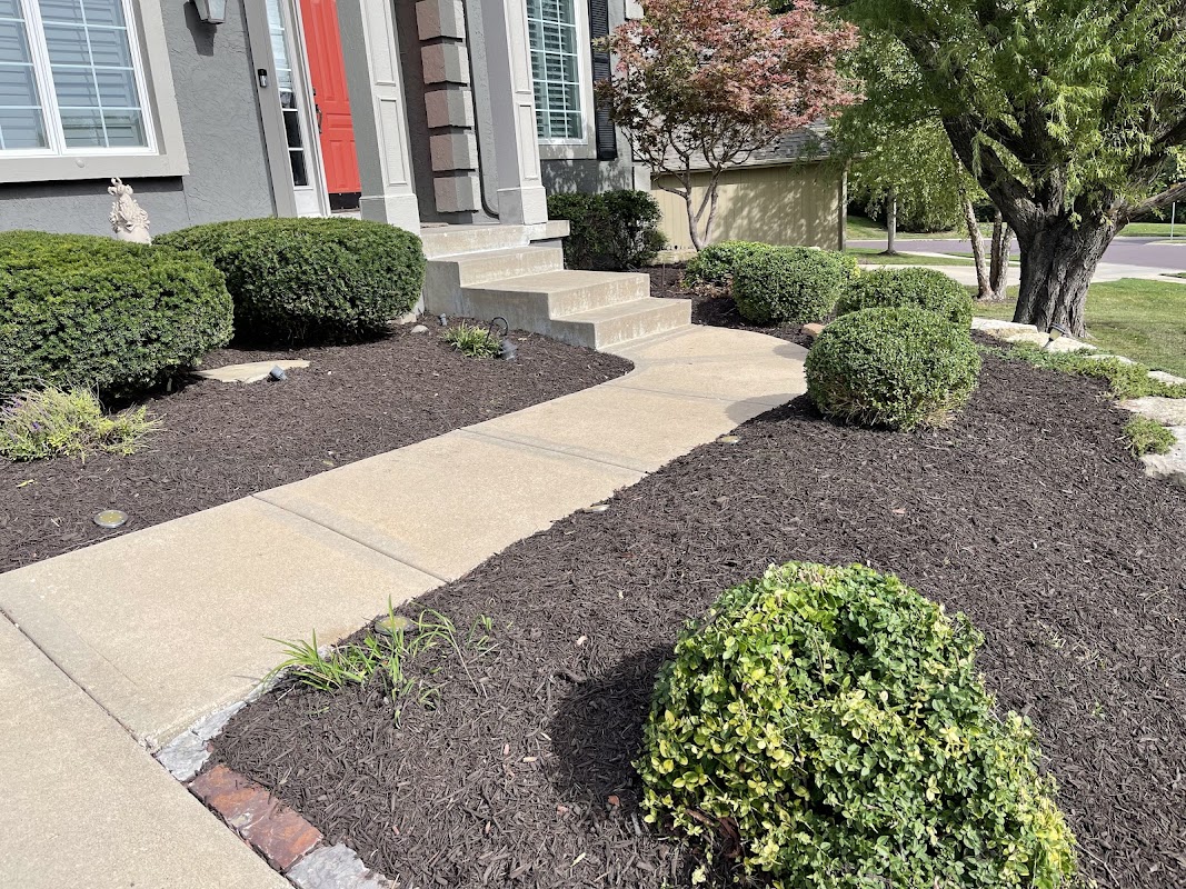 Boresow's Lawn Enforcement