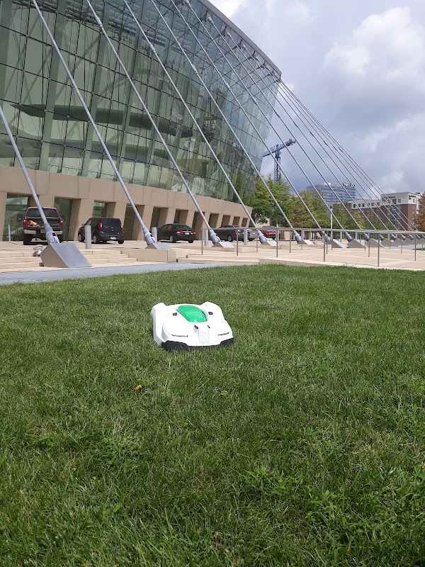 Green Outdoors Lawn and Landscape