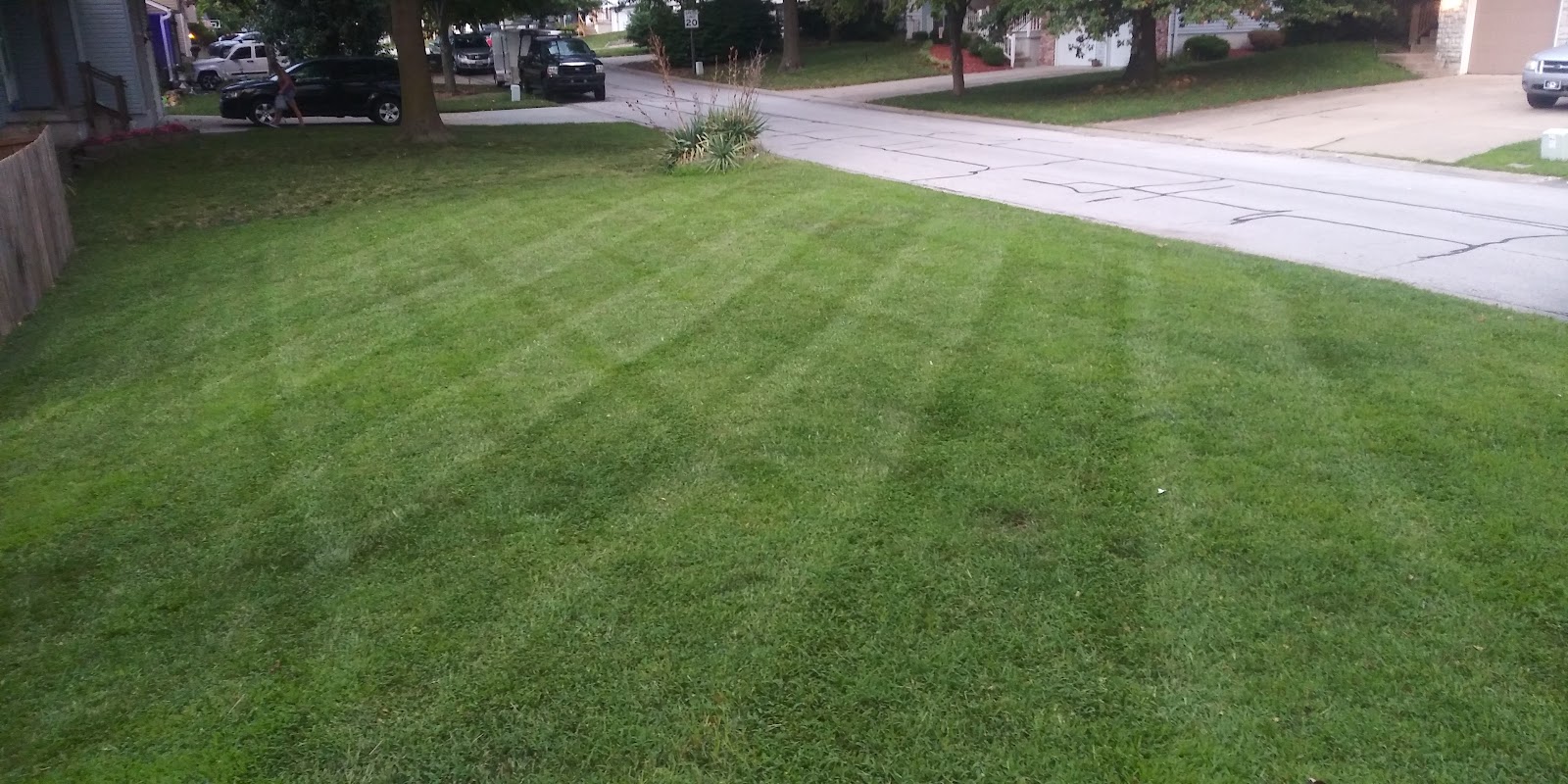 JP Lawn Maintenance LLC