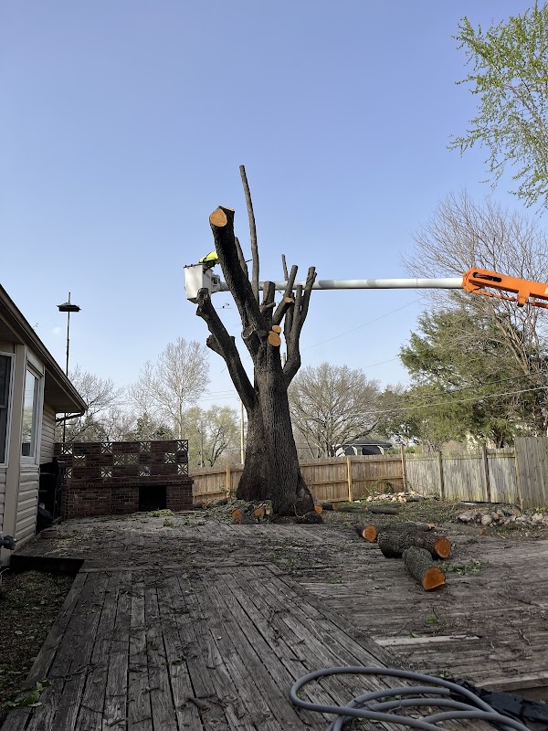 KC Tree Works LLC