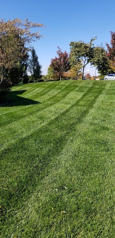 LawnHoppers kc