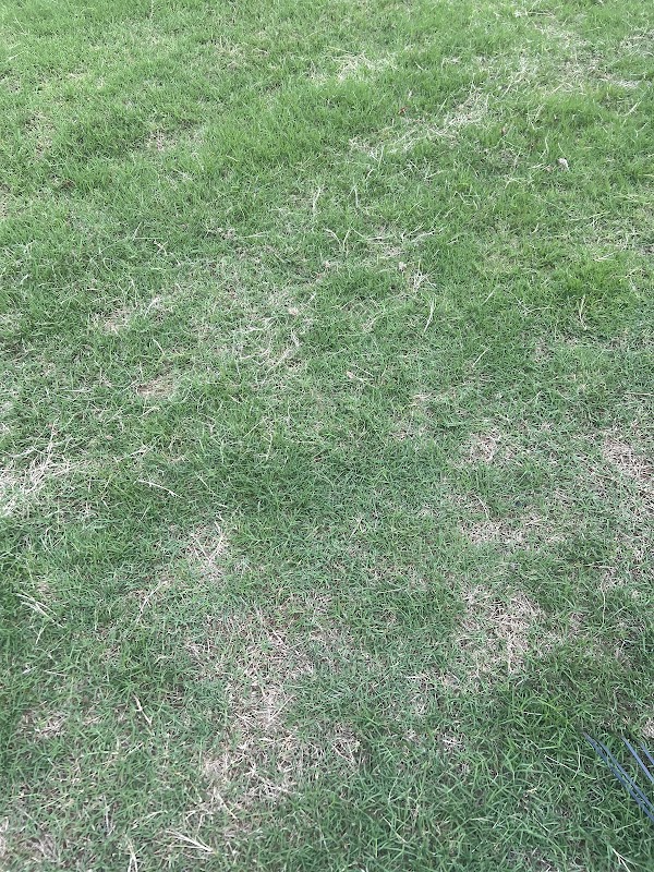 Maximum Lawn Care