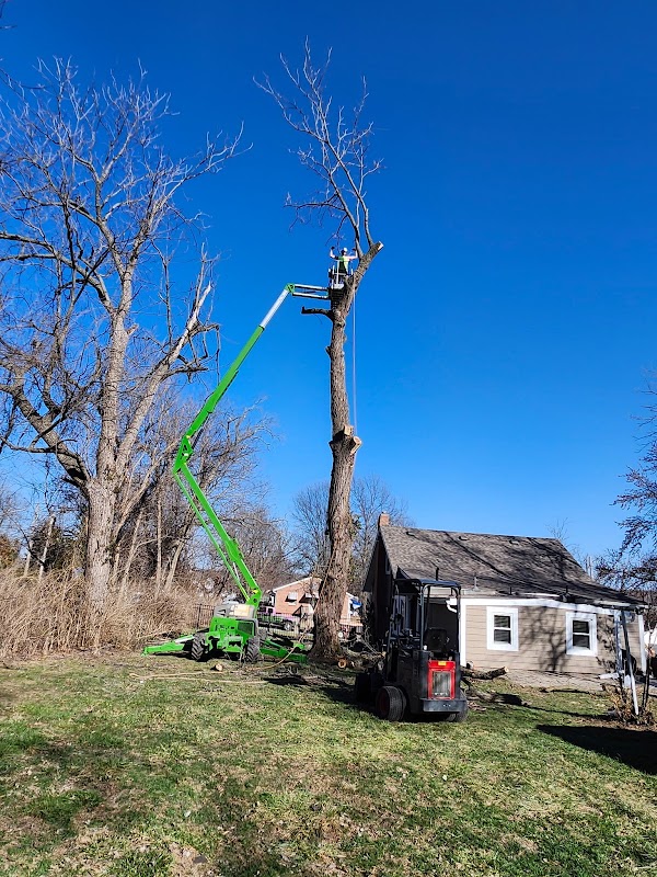 New Leaf Tree Service Kansas City