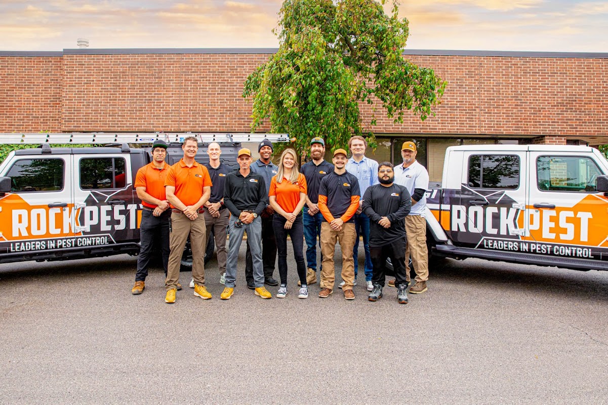 Rock Pest Control