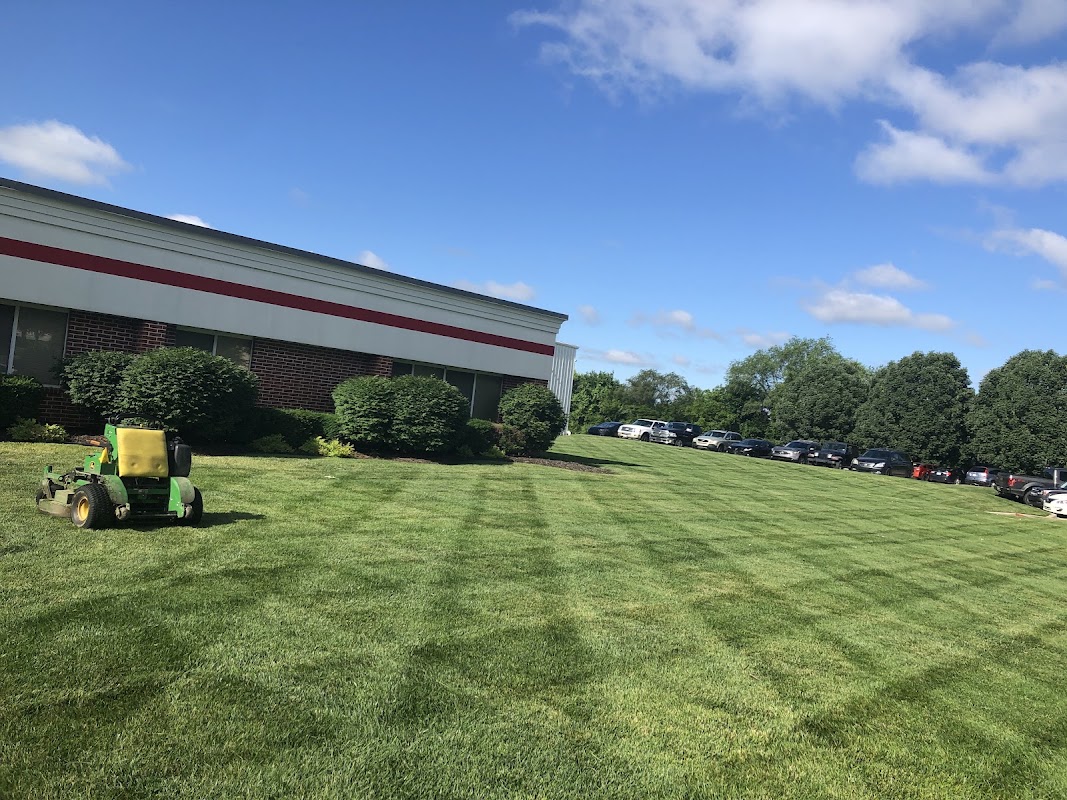 Shaunty's Lawn & Landscape LLC