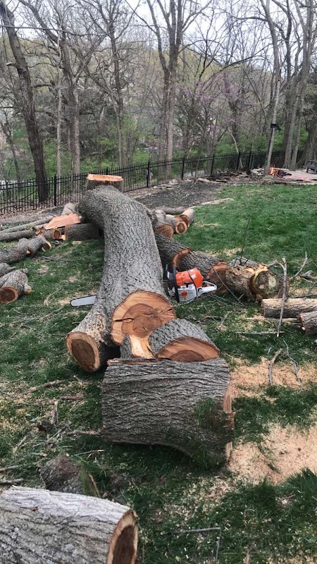 Sterling Tree Service of Leawood