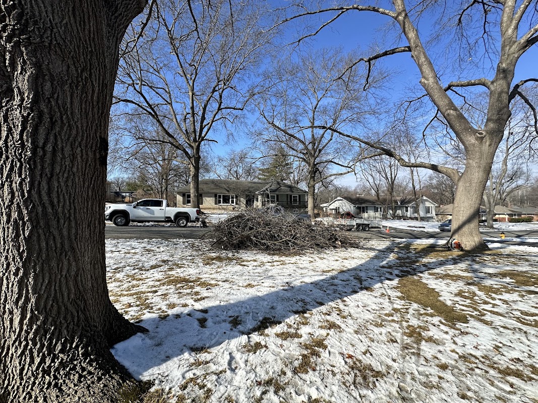 Sunshine Tree Service