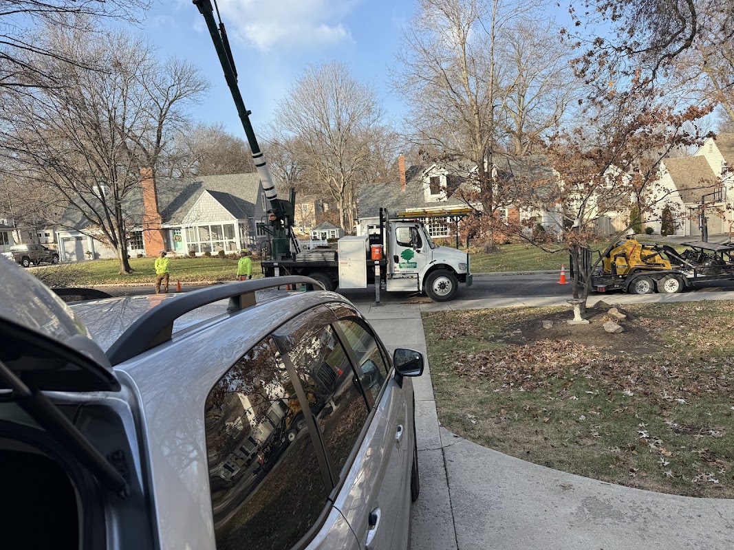 Van Booven Tree Care