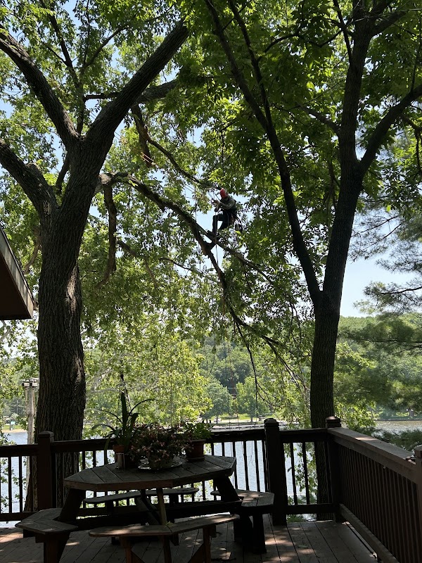 Wood's Tree Service and Landscaping LLC